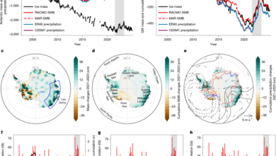 Multiyear tropical warm pool warming drives slowdown in Antarctic mass loss