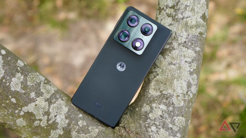 motorola razr fold back tree 1 JPG