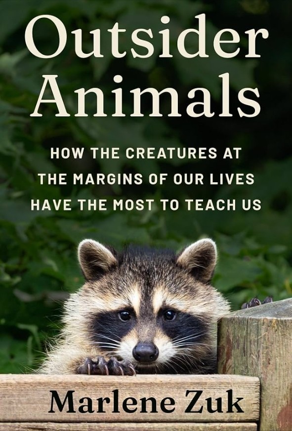 أينشتاين الموسيقي وأنبياء الذكاء الاصطناعي والمزيد: كتب باختصار