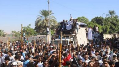احتفالات لا تشبه غيرها.. كيف أحيت مصر ذكرى المولد النبوي؟