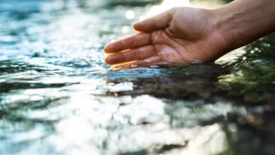 اكتشف العلماء نمطًا جديدًا مثيرًا للقلق مختبئًا في أنهار أمريكا