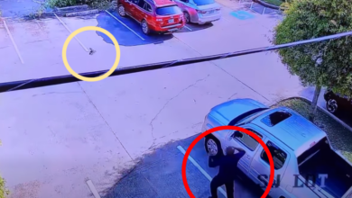 جدة مسلحة تطارد سارقا محتملا خارج متجر.. وموقفها يشعل الإنترنت (فيديو)