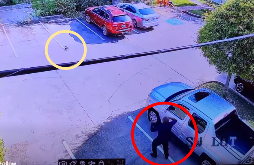جدة مسلحة تطارد سارقا محتملا خارج متجر.. وموقفها يشعل الإنترنت (فيديو)