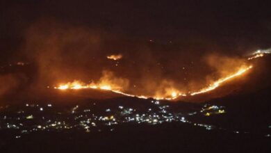 حزب الله: إحراق “إسرائيل” أحراج الجنوب استمرار للإبادة العمرانية