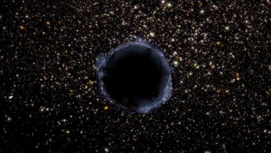 عالم يقيّم خطر سقوط الأرض في ثقب أسود حر