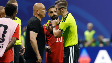 مصر تتحرك رسميا لإنقاذ حسام حسن من عقوبات الفيفا