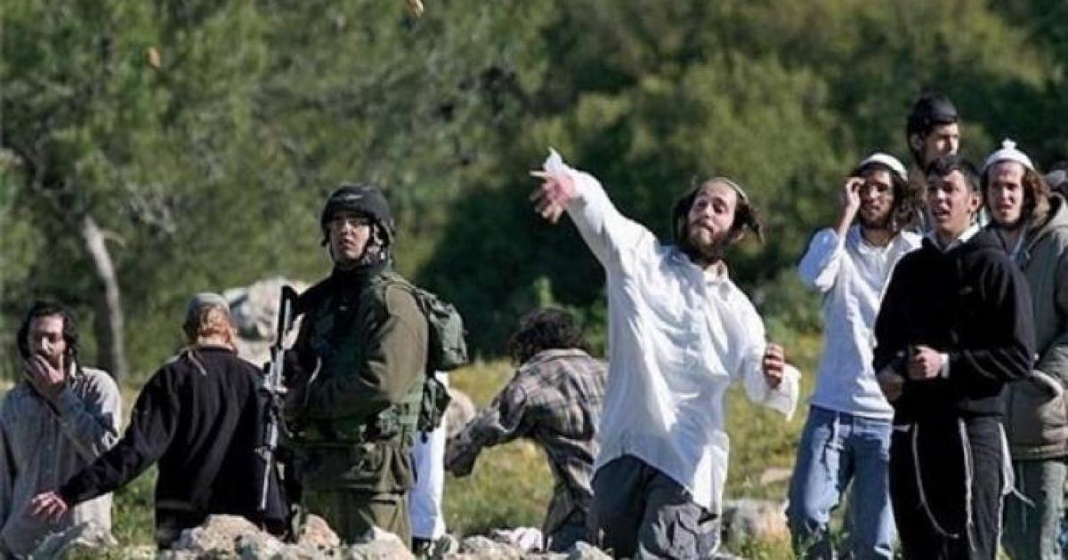هآرتس: الضفة الغربية تتغير بشكل جذري وما يسري هناك “قانون الغاب”