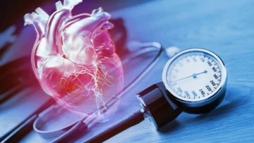 بروتين TG2 في الخلايا المناعية قد يمثل هدفًا علاجيًا جديدًا لارتفاع ضغط الدم