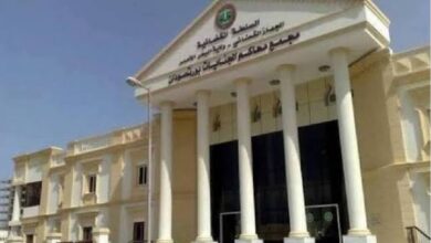 تنفيذ حكم “50 جلدة في مكان عام” لناشط يثير جدلا في السودان