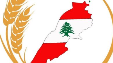 بلدية صريفا تستنكر الحديث عن وجود منشآت عسكرية في البلدة