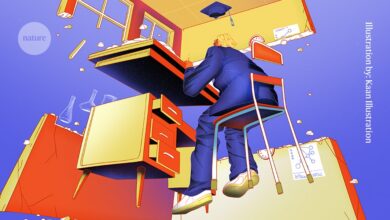 جامعات المملكة المتحدة على حافة الهاوية – ما هو مصدر التوتر الأكبر لديها؟