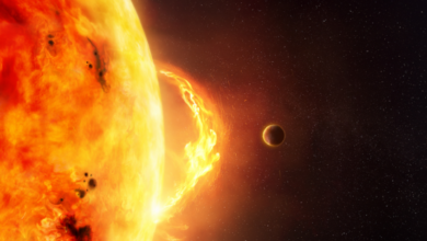 عالم روسي: التنبؤ بالتوهجات الشمسية القوية جدا شبه مستحيل