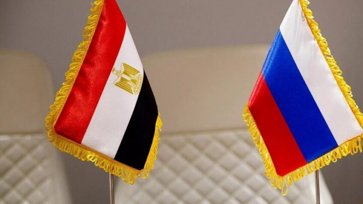 لافروف وعبد العاطي يبحثان قضايا الشرق الأوسط ويؤكدان أهمية التسويات السياسية