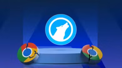 وضع السرعة الجذري لـ Google Chrome الذي كنت أتمنى لو قامت Google بشحنه