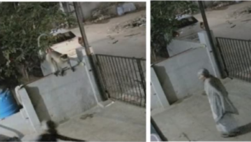 وفاة مسنة هندية بعد هجوم قرد عليها في منزلها