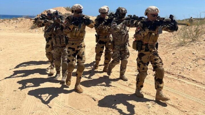 شكري: السلام بين مصر وإسرائيل ليس في خطر رغم الخلافات والتصعيد