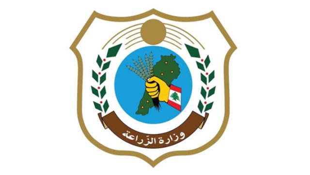 وزارة الزراعة: مجلس الوزراء أقر إعفاء بذور الخضر من الرسوم الجمركية