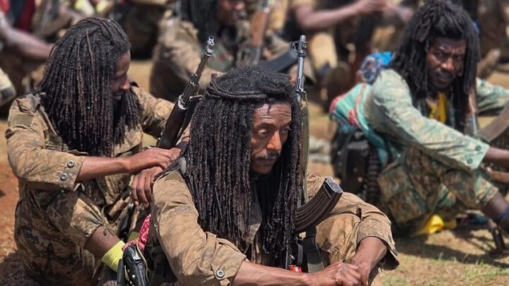 هل “قمة العلمين ” مؤشر تحالف بين مصر وإريتريا والسودان والصومال؟