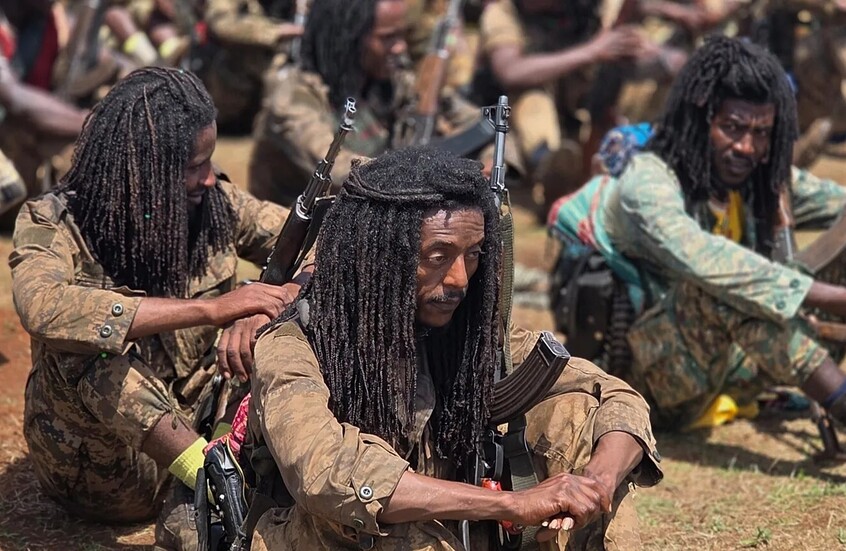 هل “قمة العلمين ” مؤشر تحالف بين مصر وإريتريا والسودان والصومال؟