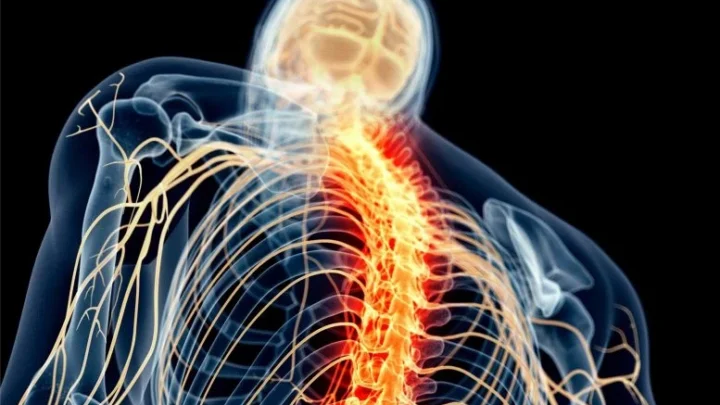 العلاج الجديد بالأجسام المضادة يسكت آلام الأعصاب لعدة أيام دون عرقلة الألم الطبيعي