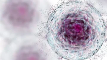 قد تكون الخلايا المتقدمة في السن مختبئة من جهاز المناعة، ويعتقد العلماء أنهم يعرفون كيف يحدث ذلك