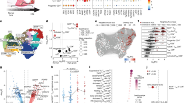 A preinvasive regulatory T cell axis for lung cancer interception
