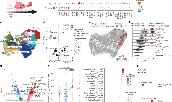A preinvasive regulatory T cell axis for lung cancer interception