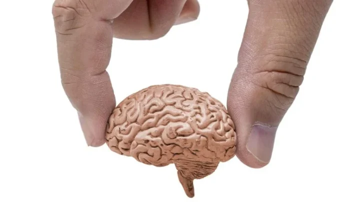 يقول العلماء إن الدماغ الأكبر سنًا قد يتم تحسينه لشيء مختلف