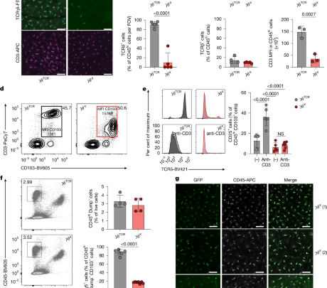 γδ T cell receptor dependencies define a unique immunosurveillance modality