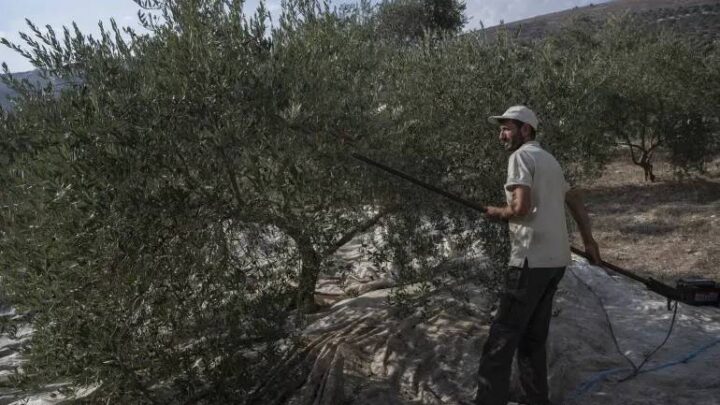 الاحتلال يواصل انتهاكاته.. منع مزارعي كفرشوبا من الوصول إلى أراضيهم