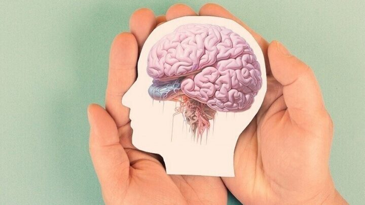 أطعمة تحسن وظائف الدماغ