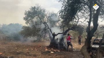 تقرير مصور | تصاعد اعتداءات الاحتلال والمستوطنين على الفلسطينيين وممتلكاتهم في الضقة الغربية المحتلة