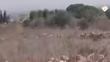 بالفيديو | قوات الاحتلال الإسرائيلي تقتلع أشجارًا قرب نقطة للجيش اللبناني في زوطر الغربية