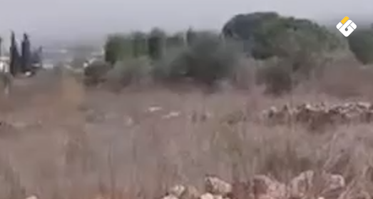 بالفيديو | قوات الاحتلال الإسرائيلي تقتلع أشجارًا قرب نقطة للجيش اللبناني في زوطر الغربية