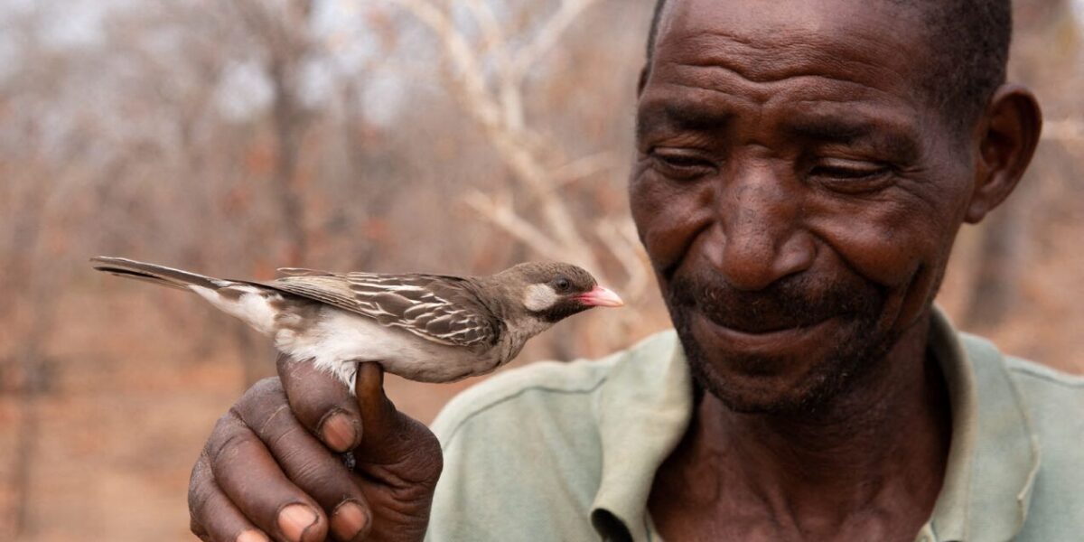 ‘It’s nature calling to humans, and humans deciding whether or not to reply’ Why we need to sta paying attention to our mutually beneficial relationships with other species