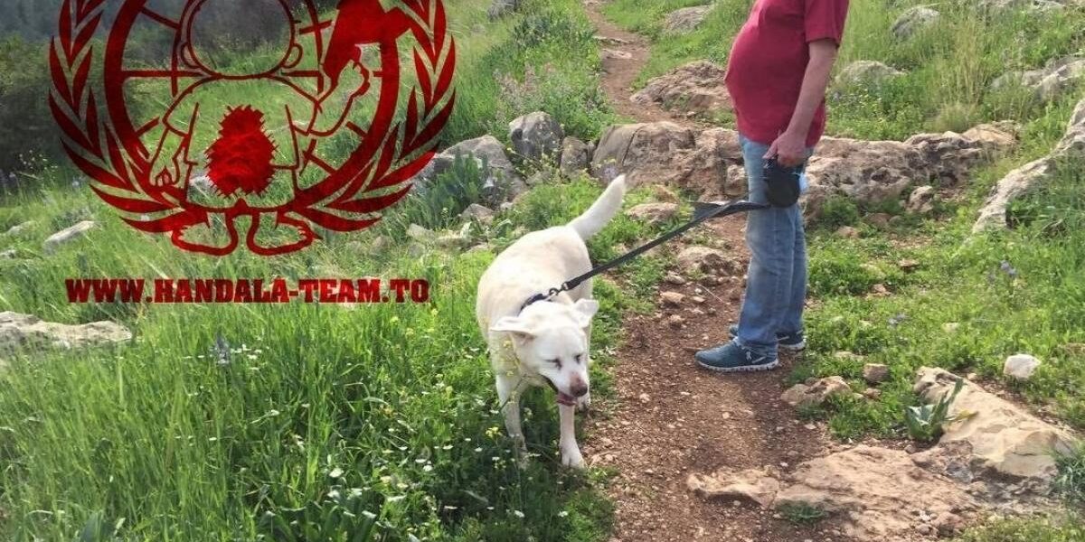“حنظلة” الإيرانية تُسرّب 14 غيغابايت من الوثائق السرية لرئيس الموساد السابق