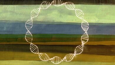 DNA shed by every living thing is lurking in the environment