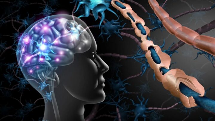 خلايا الدماغ التي تهدف إلى حمايتنا قد تغذي التدهور المعرفي