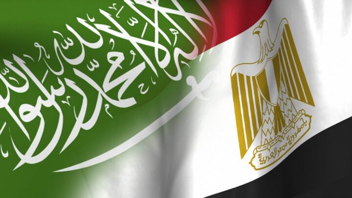 وزير الخارجية المصري: نرفض الاعتداءات على السعودية ونؤكد أن أمن المملكة جزء من أمننا القومي
