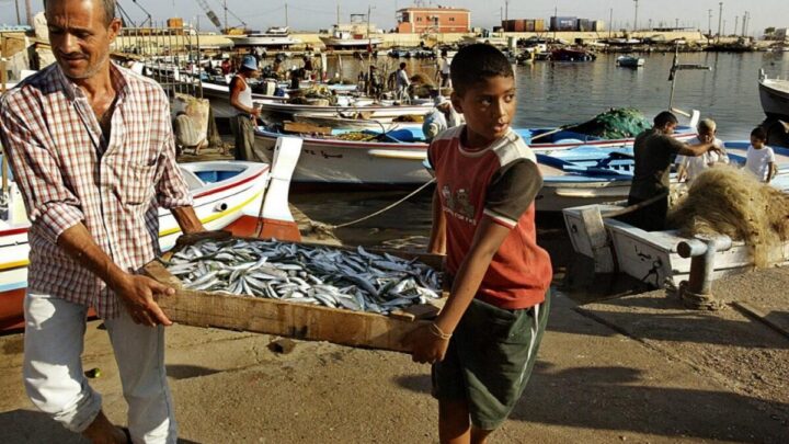 صيادو الجناح يطالبون بحماية مرفئهم بعد سرقة ثلاثة محركات قوارب