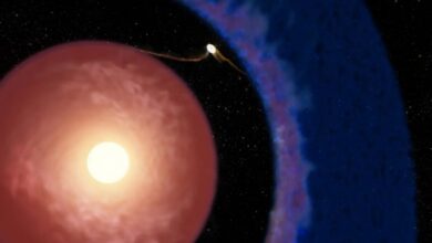 “إلياس”.. أصغر كوكب خارج المجموعة الشمسية على الإطلاق