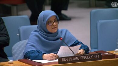 إيران: دعم الأرجنتين للعدوان العسكري ضد إيران يحمّلها مسؤولية دولية