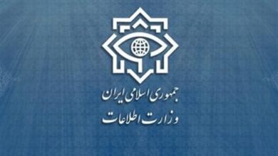 تحديد هوية 30 مرتزقًا صهيونيًا والقبض عليهم