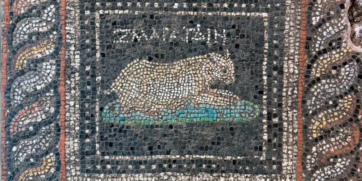 تم العثور على فسيفساء من القرن الثاني إلى الثالث الميلادي في تركيا. مع صور الحيوانات الأليفة