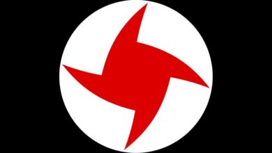 خيارات الحكومة مدمّرة