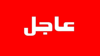 عاجل رئيس مجلس الشورى الإيراني: الولايات المتحدة تريد العبور من المسار الجنوبي لمضيق هرمز خلافاً للتفاهم، ولن نسمح لها بذلك.