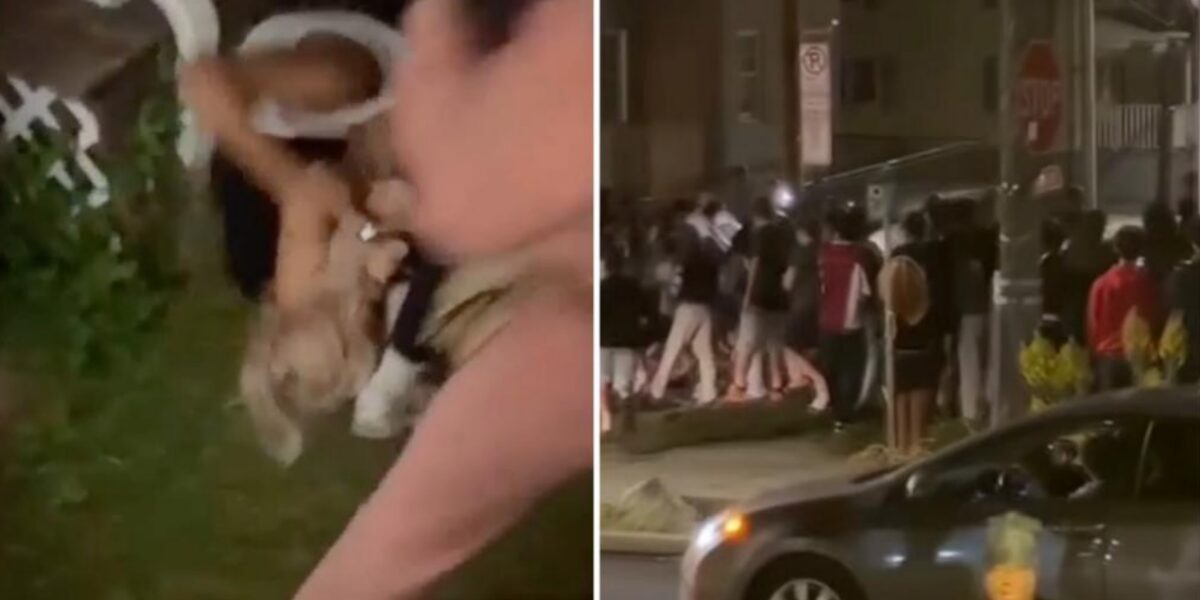 لقطات صادمة.. حشد يهاجم طالبات جامعة أمريكيات ويضرب إحداهن لدرجة فقدانها الوعي