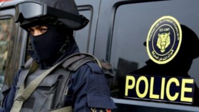 مصر.. إجراء عاجل للسلطات بعد فضيحة المنفذ السياحي