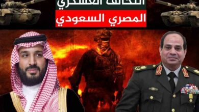 هل حان وقت الناتو العربي؟