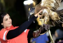 وفاة بلوغر مصرية بعد سقوط مروع في حادث غامض